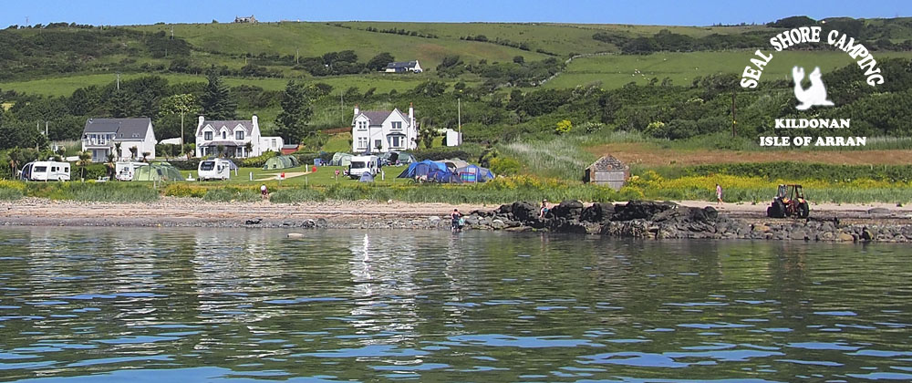 Seal Shore camping - a view of the site from the sea