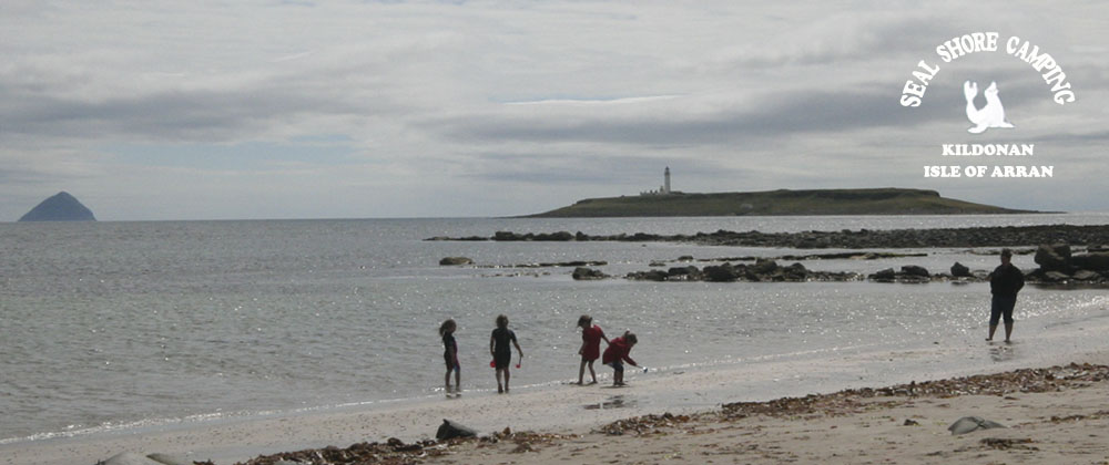 Seal Shore camping - children on the beach